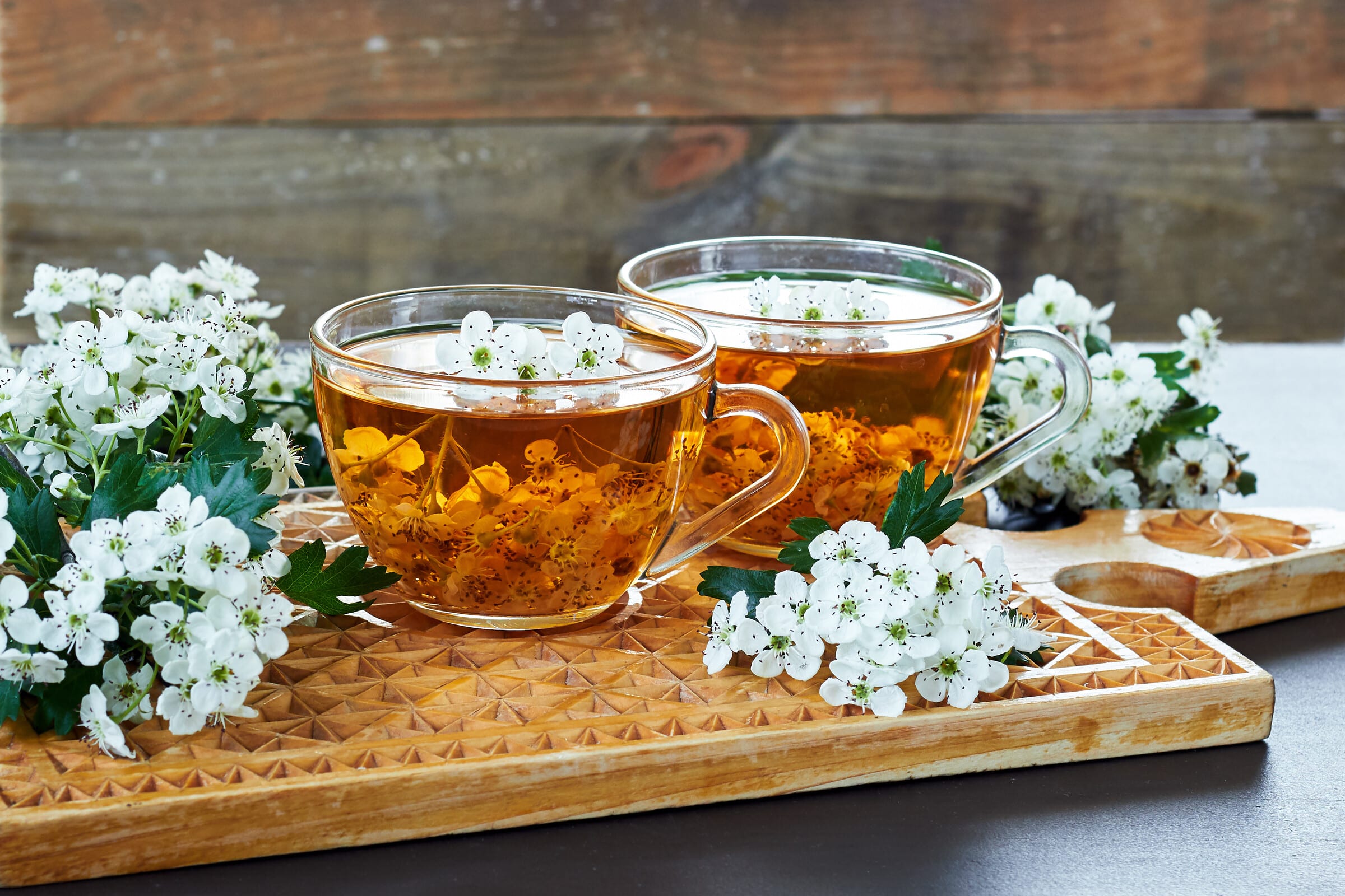 Weißdornblüten im Frühling