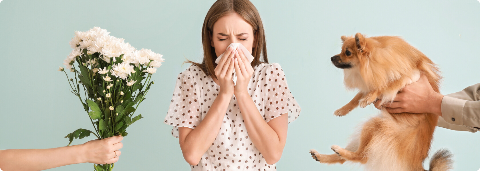 Allergie - Was versteht die Medizin unter einer Allergie?