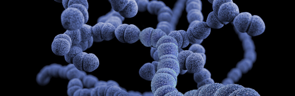 Eine Lungenentzündung wird durch Bakterien, Viren und Pilze verursacht.