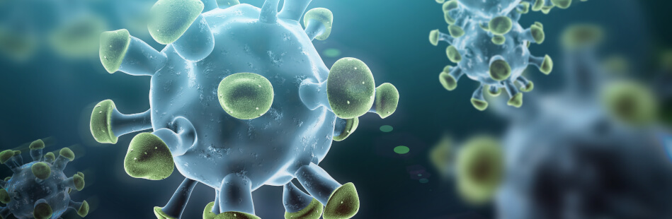 Die Viren von SARS und MERS können sich schädlich auf die Lungen auswirken