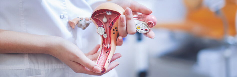 Kommt bei der Gebärmuttersenkung keine Operation infrage, kann die Behandlung mittels eines Pessars erfolgen