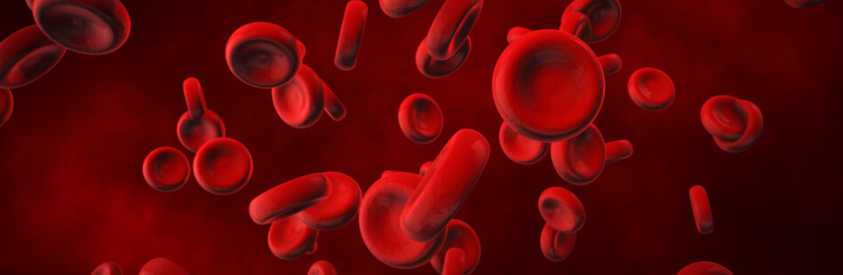 Nur sehr wenige Menschen haben eine Blutgruppe, die mit allen anderen Blutgruppen kompatibel ist