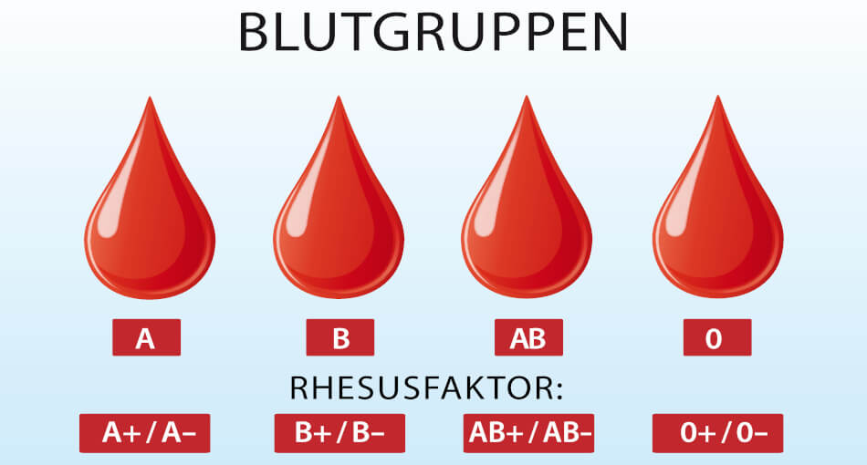 Es lassen sich verschiedene Blutgruppen unterscheiden