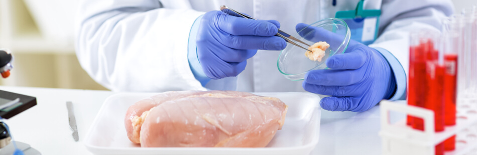 Salmonellen finden sich häufig in Hühnerfleisch wieder, wesshalb Du nach dem Kochen unbedingt die Hände waschen sollest.